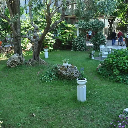 Antea